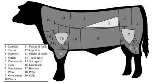 schema-tagli-di-carne-bovini